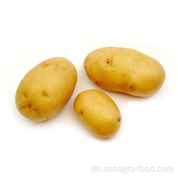 Organische knackige und köstliche Kartoffeln
